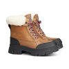 Frauen Ugg Boots & Stiefeletten | Winterboot Ashton Addie Camel