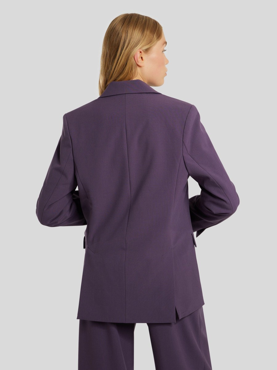 Frauen Samsoe & Samsoe Blazer | Blazer Luzy Aubergine