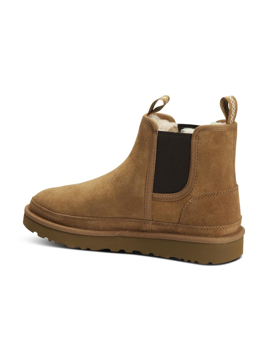 Manner Ugg Boots & Bottinen | Chelsea Boots Neumel Camel