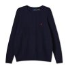 Manner Polo Ralph Lauren Pullover & Strickjacken | Strickpullover Marine